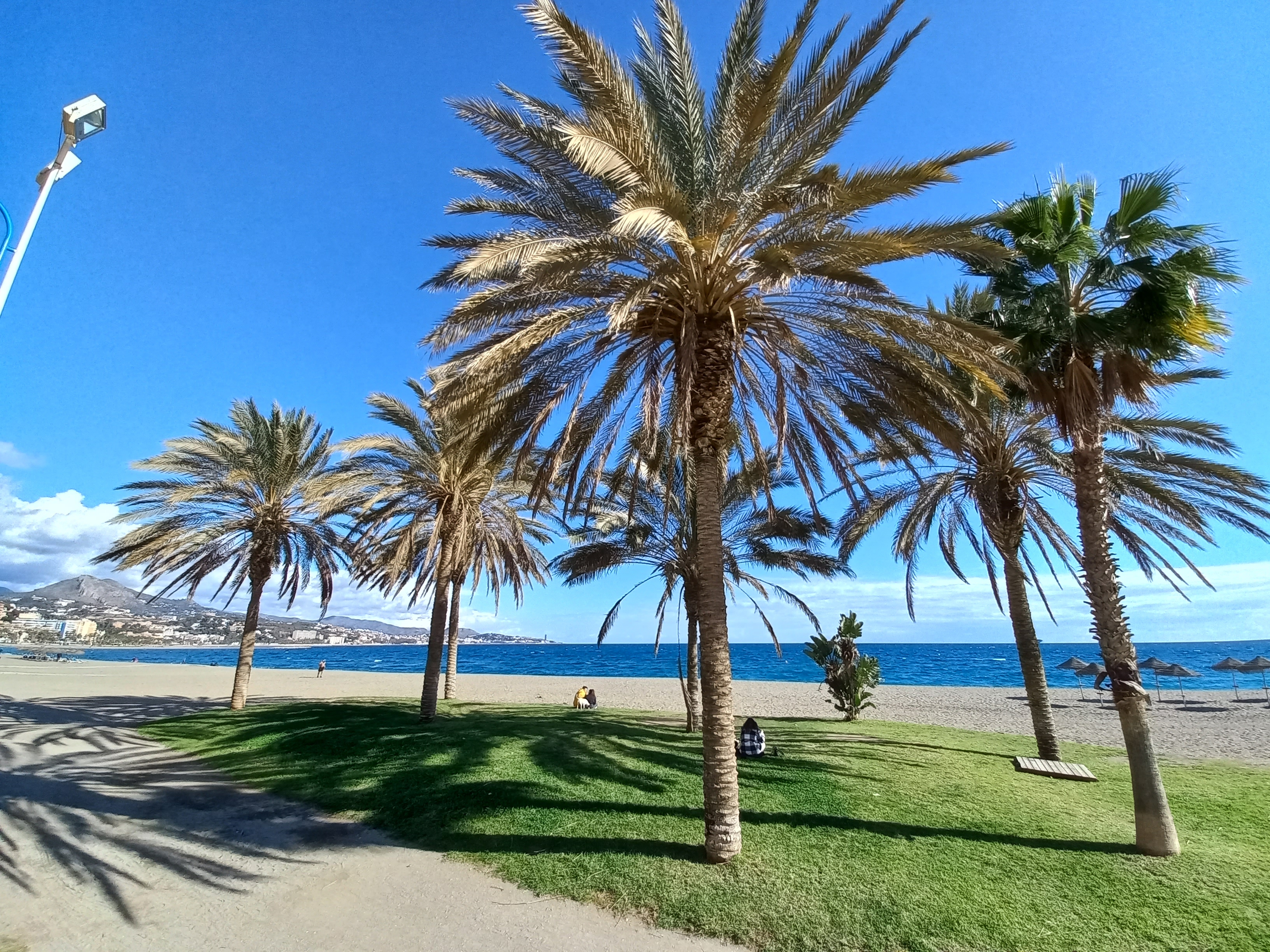 Mobilność uczniów i kadry 